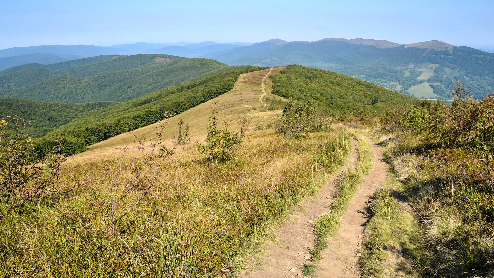 Czym są bieszczady, co warto tam zobaczyć