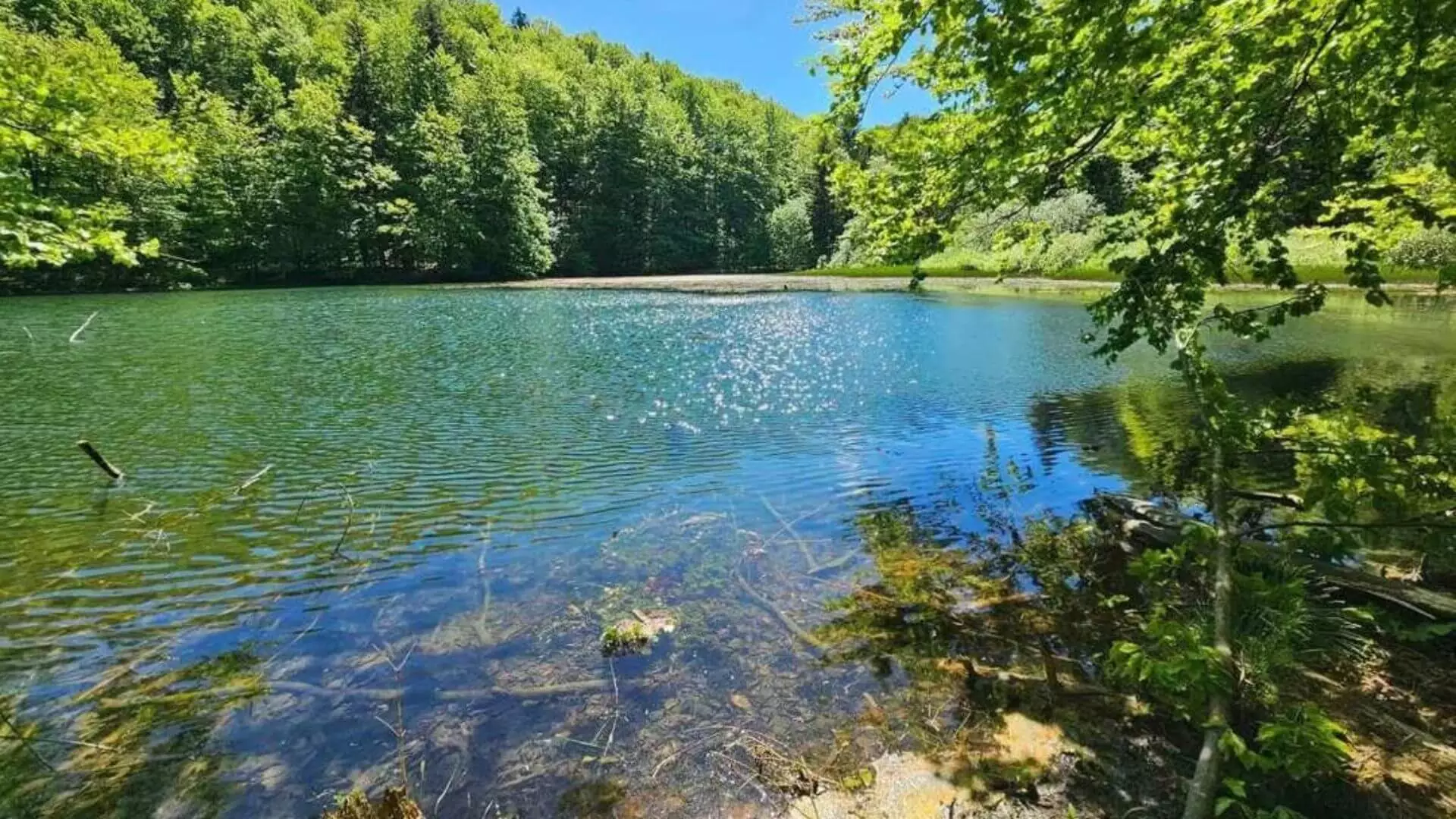 Bieszczady Atrakcje Najlepsze Atrakcje W Bieszczadach
