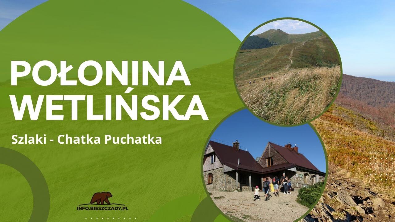 Połonina Wetlińska Bieszczady