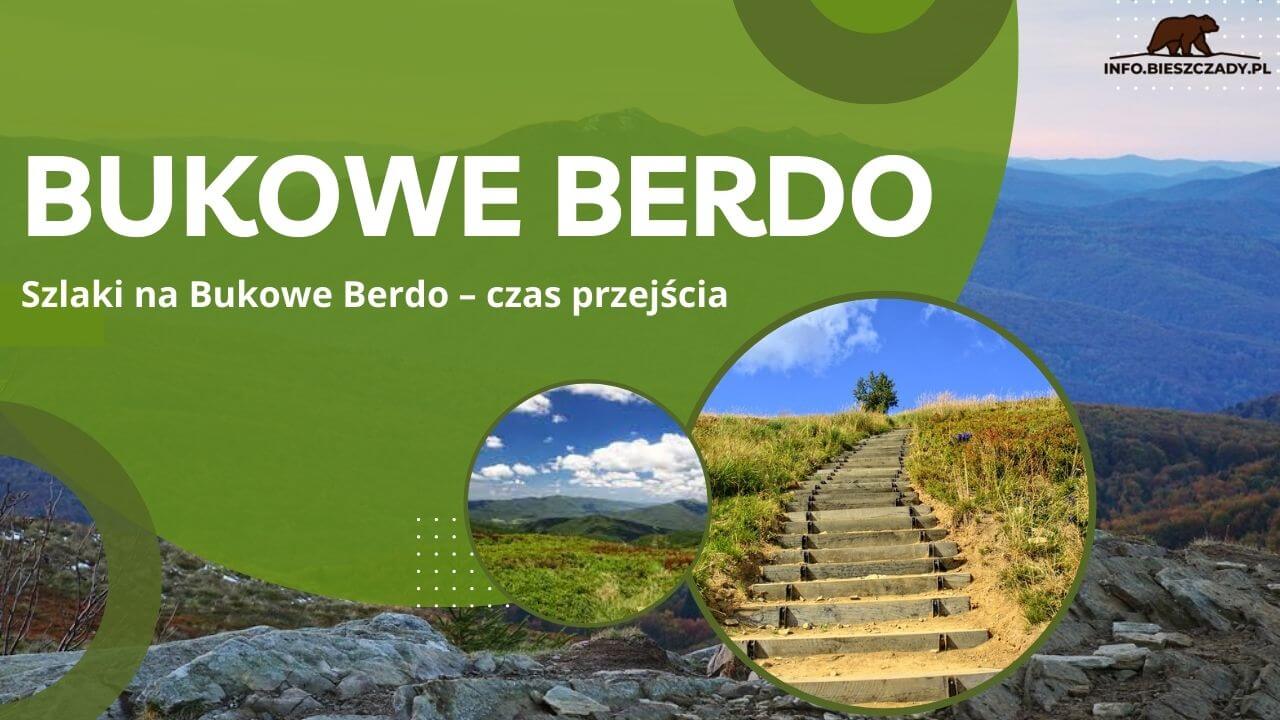 Bukowe Berdo w Bieszczadach