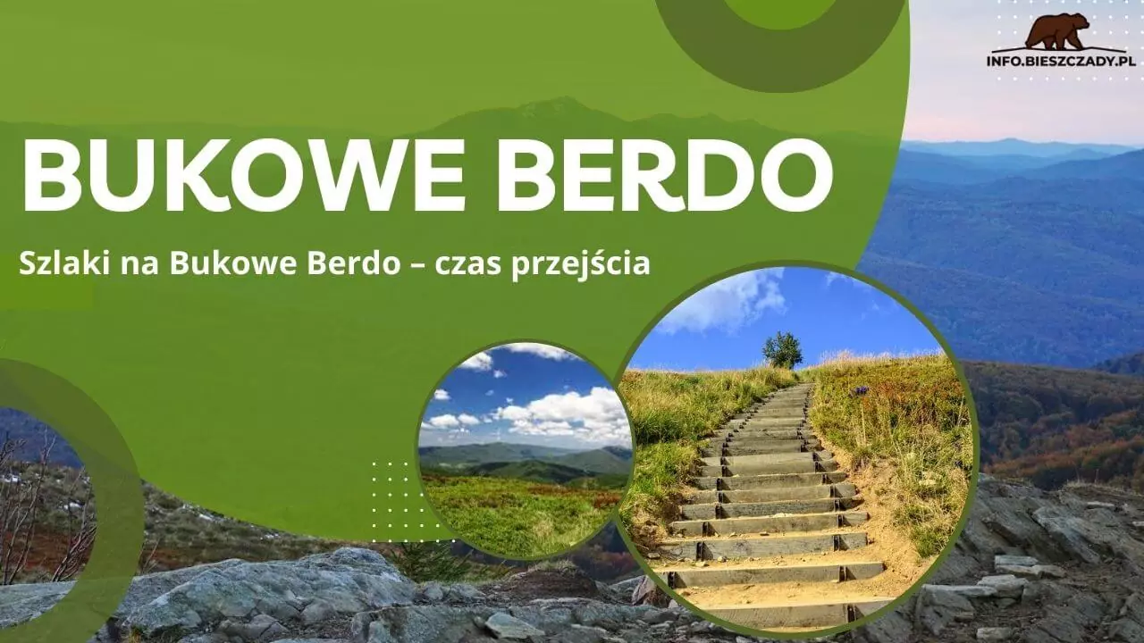 Bukowe Berdo w Bieszczadach
