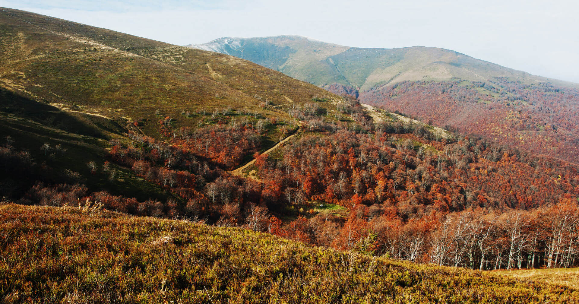 Bieszczady domki na odludziu