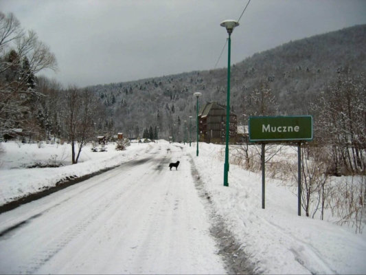 Gdzie pojechać w Bieszczady? Muczne w Bieszczadach