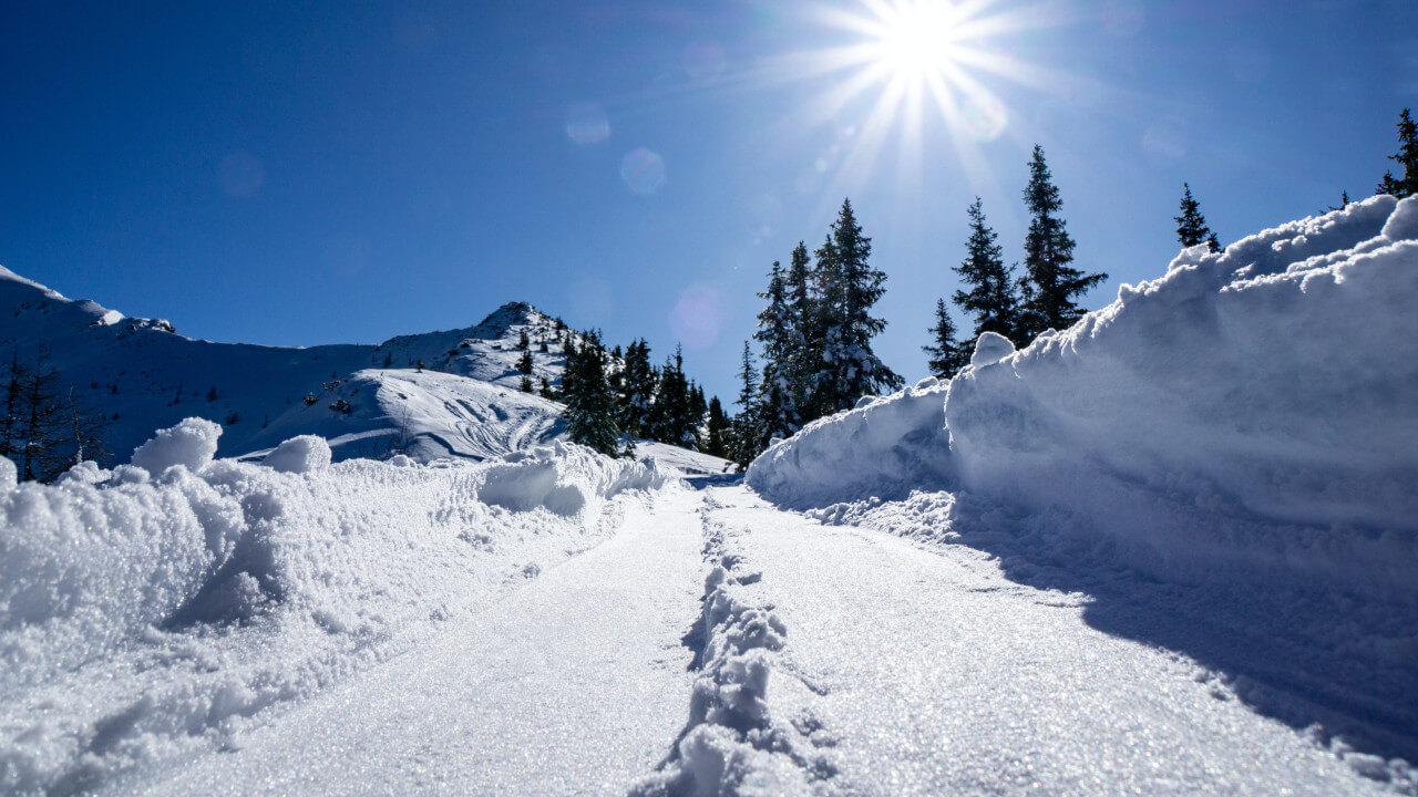 Bystre SKI Wyciąg Dzidowa Cennik, godziny otwarcia, parking