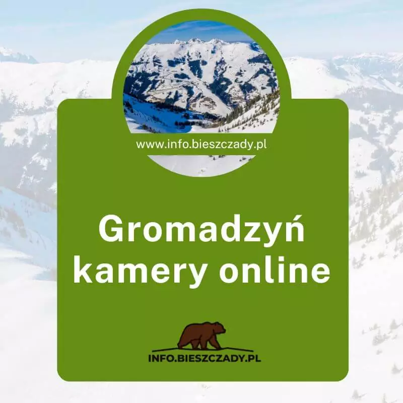 Gromadzyń kamery online