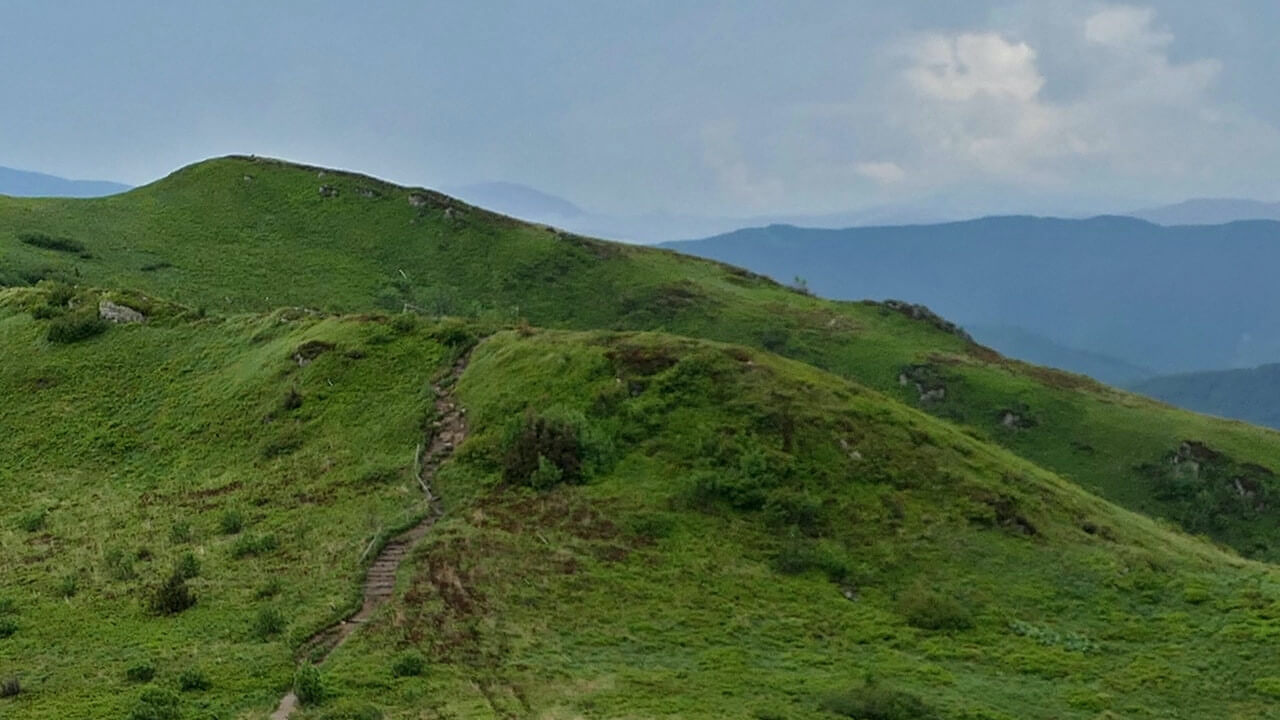 Rezerwat Przyrody Koziniec Szlak, gatunki, trasa