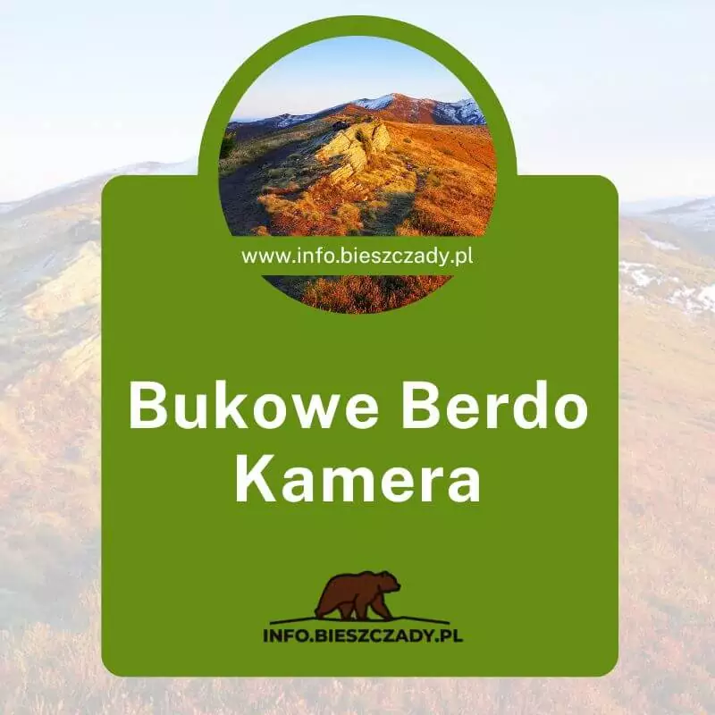 Kamera Bukowe Berdo