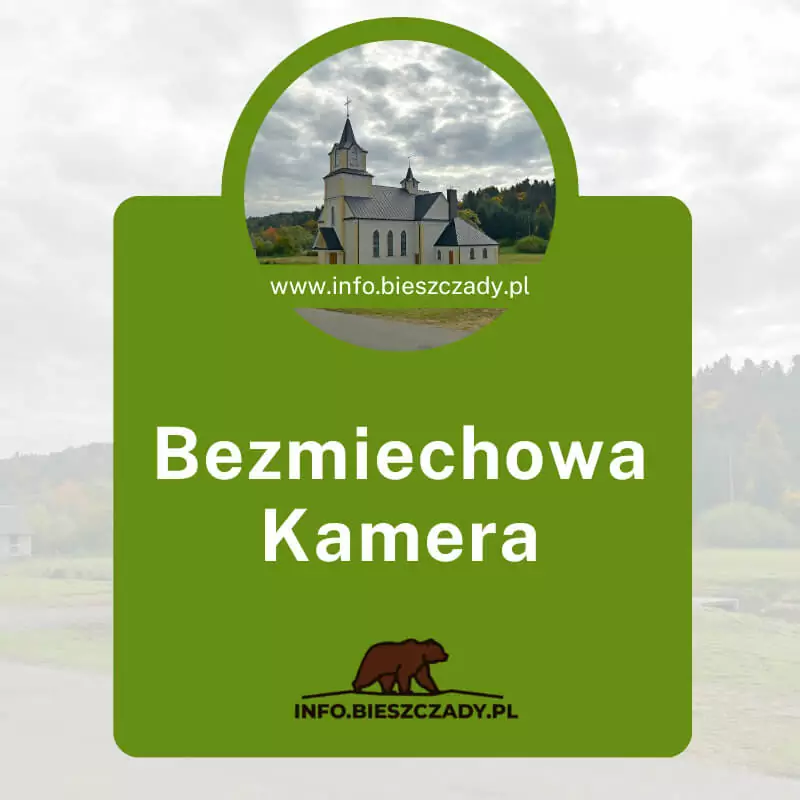 Bezmiechowa Kamera online