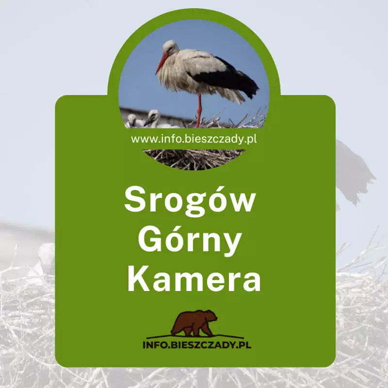 Kamera Online Srogów Górny