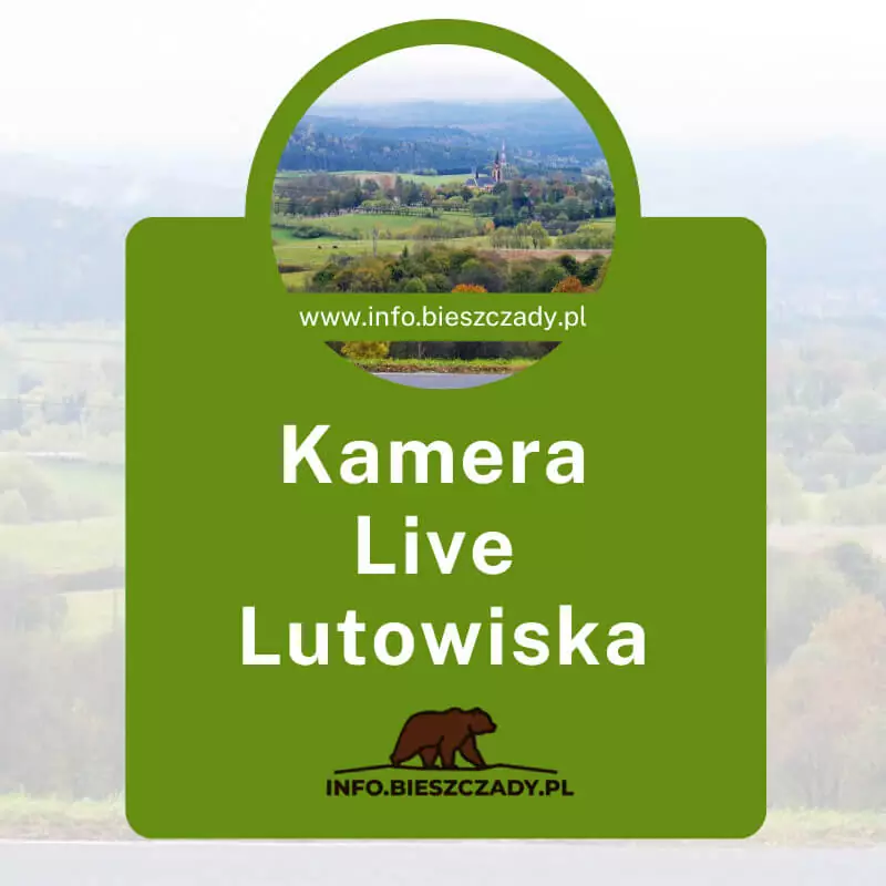 Kamera Online Lutowiska