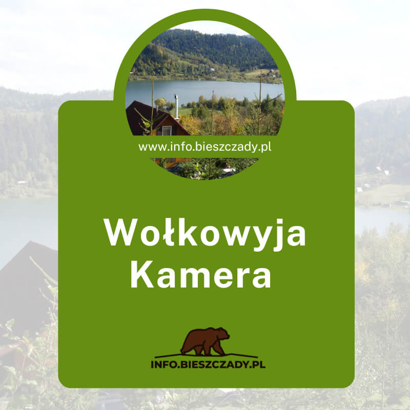 Wołkowyja Kamera Online