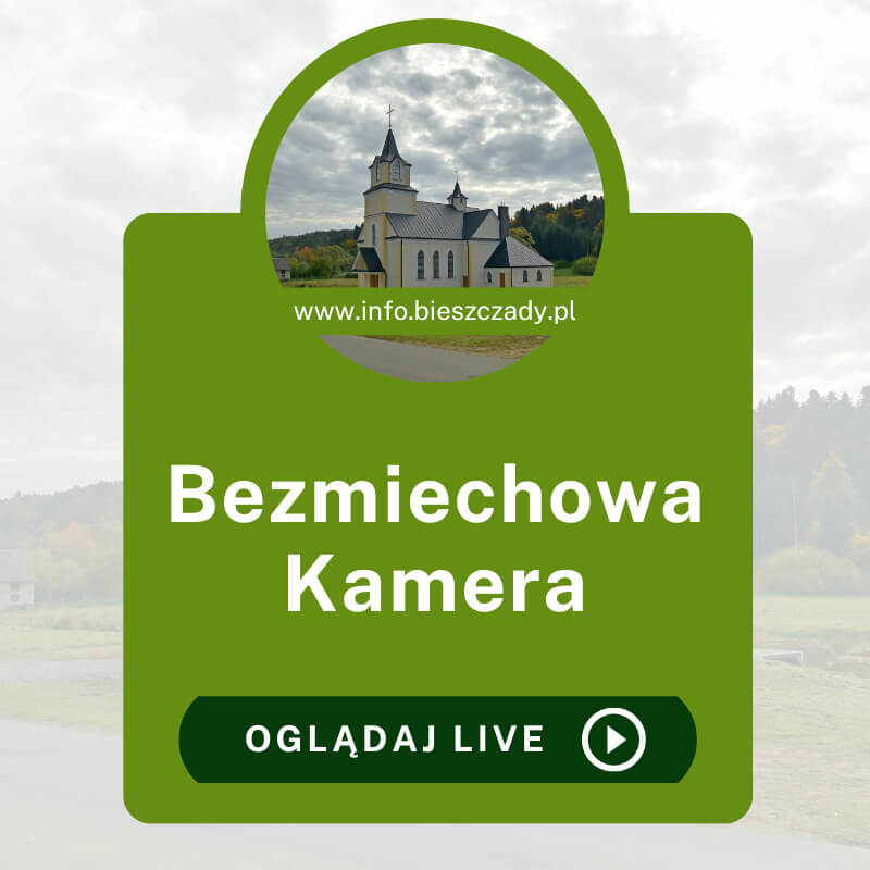 Bezmiechowa Kamera online