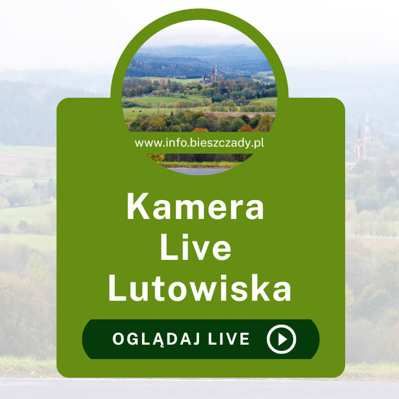 Kamera Online Lutowiska