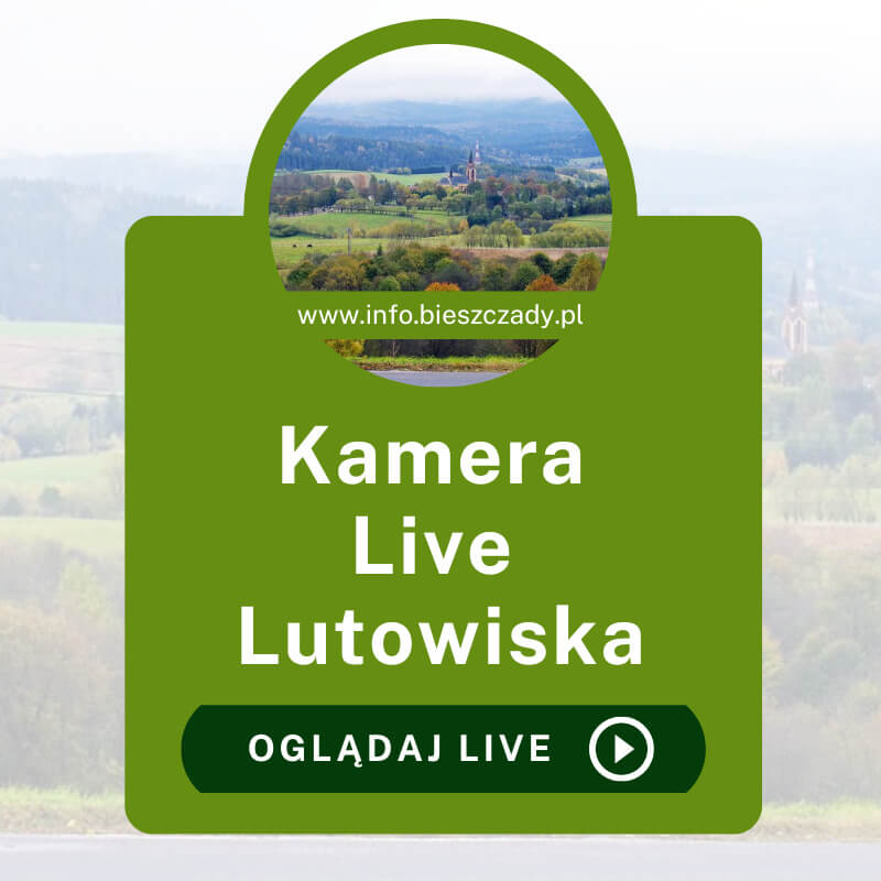 Kamera Lutowiska