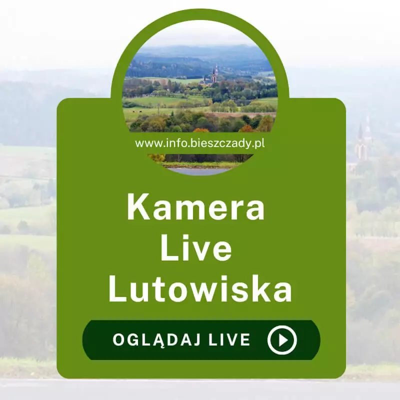 Kamera Online Lutowiska