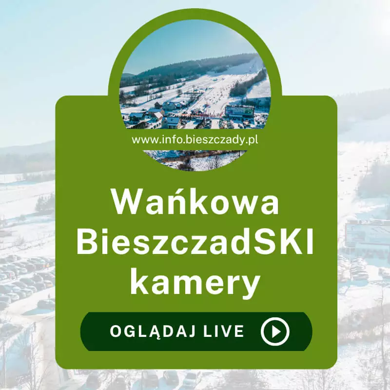 Wańkowa BieszczadSKI kamery