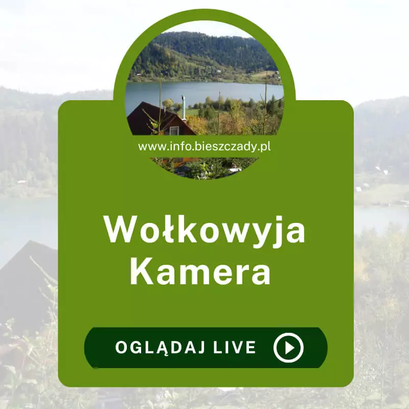 Wołkowyja Kamera Online