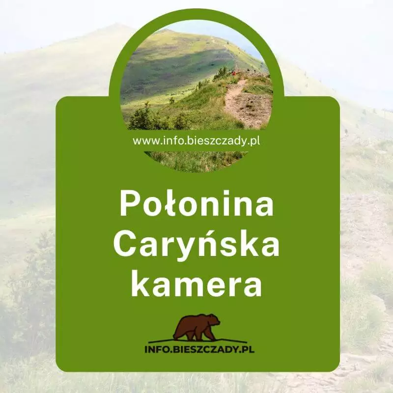 Połonina Caryńska kamera