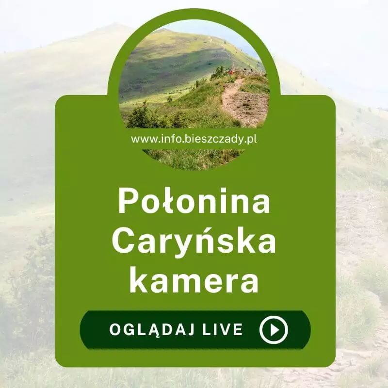 Połonina Caryńska kamera