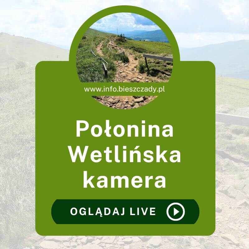 Połonina Wetlińska kamera