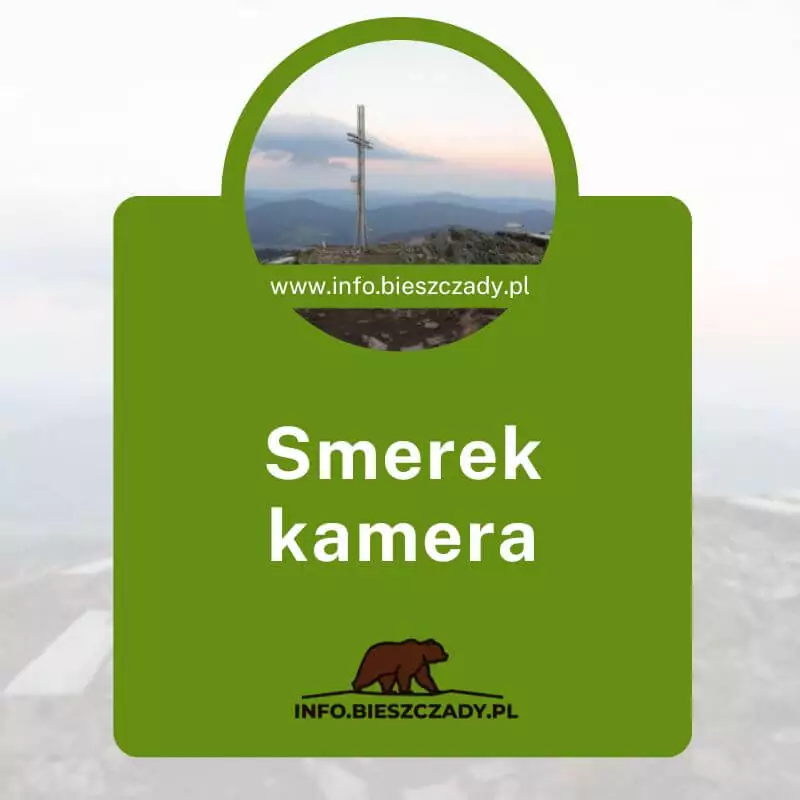 Smerek kamera live