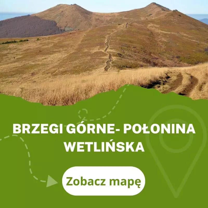 Szlak na Połoninę Wetlińską z Brzegów Górnych do Wetliny