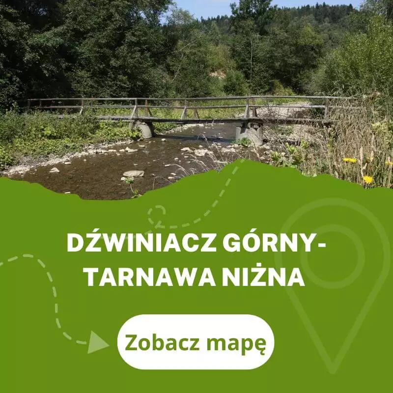 Szlak do Dźwiniacza Górnego z Tarnawy Niżnej