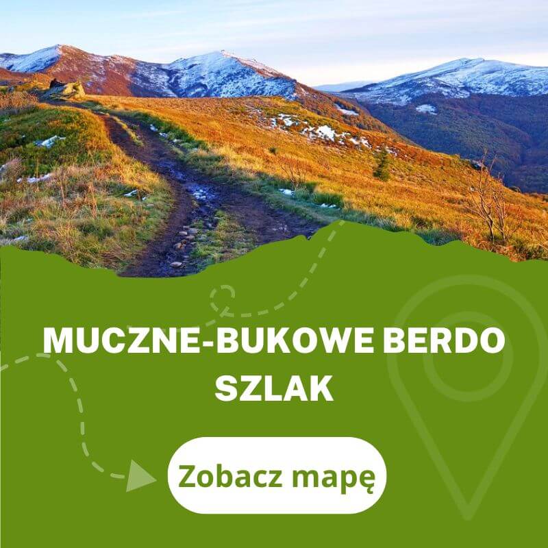 Bukowe Berdo szlak z Mucznego | Czas przejścia, mapa, żółty szlak