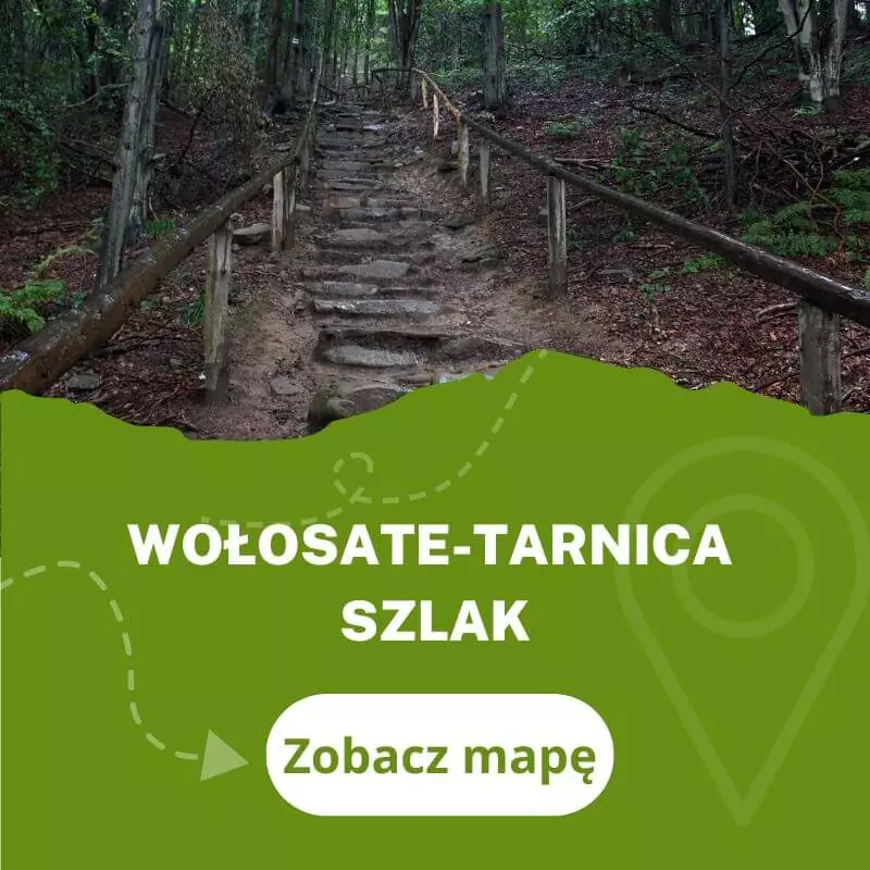 Szlak na Tarnicę z Wołosatego