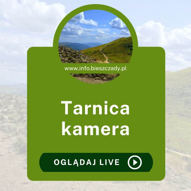 Tarnica kamera