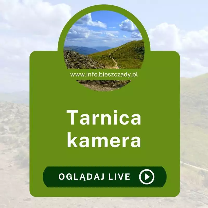 Tarnica kamera