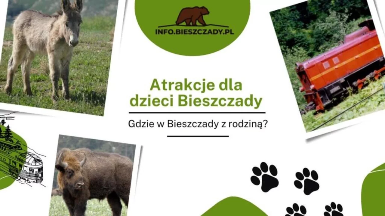 Atrakcje dla dzieci w Bieszczadach