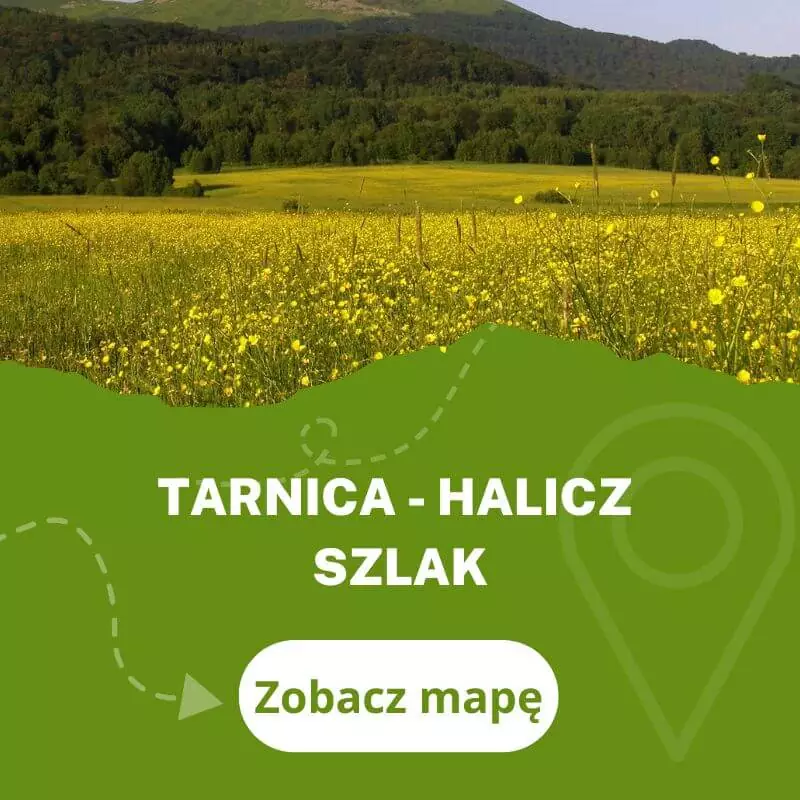 Szlak Halicz Rozsypaniec Tarnica