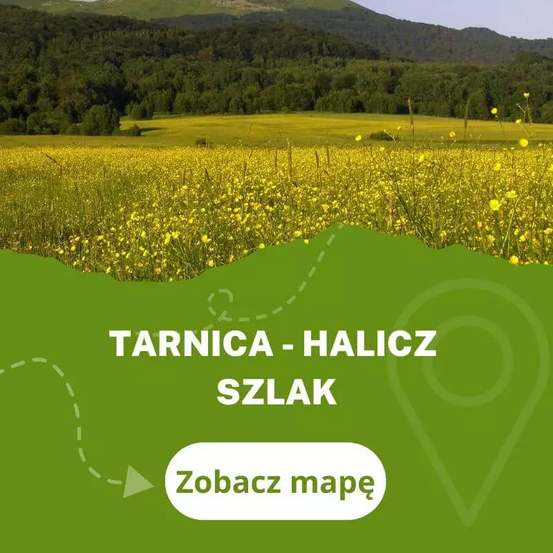 szlak tarnica-halicz