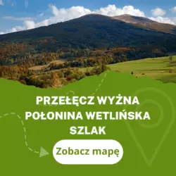 Szlak z Przełęczy Wyżnej na Połoninę Wetlińską