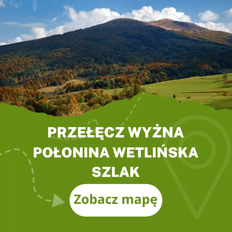 Przełęcz Wyżna Połonina Wetlińska szlak