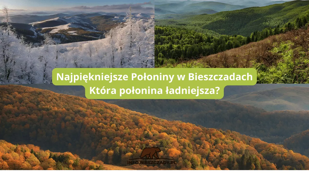 Połoniny Bieszczady – która połonina ładniejsza?