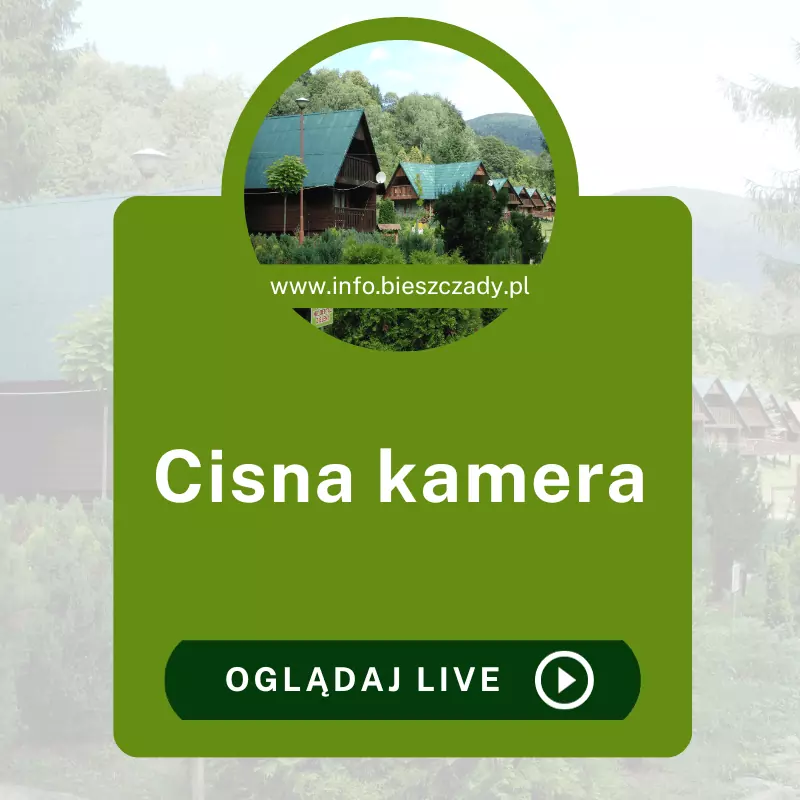 Kamera Cisna