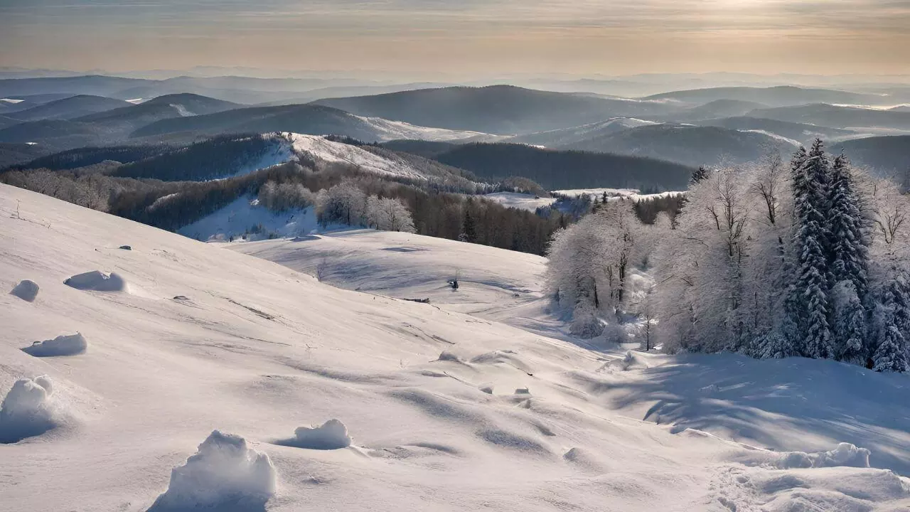 Zima w Bieszczadach [ZDJĘCIA] – zaśnieżone Bieszczady