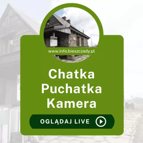 Kamera Chatka Puchatka