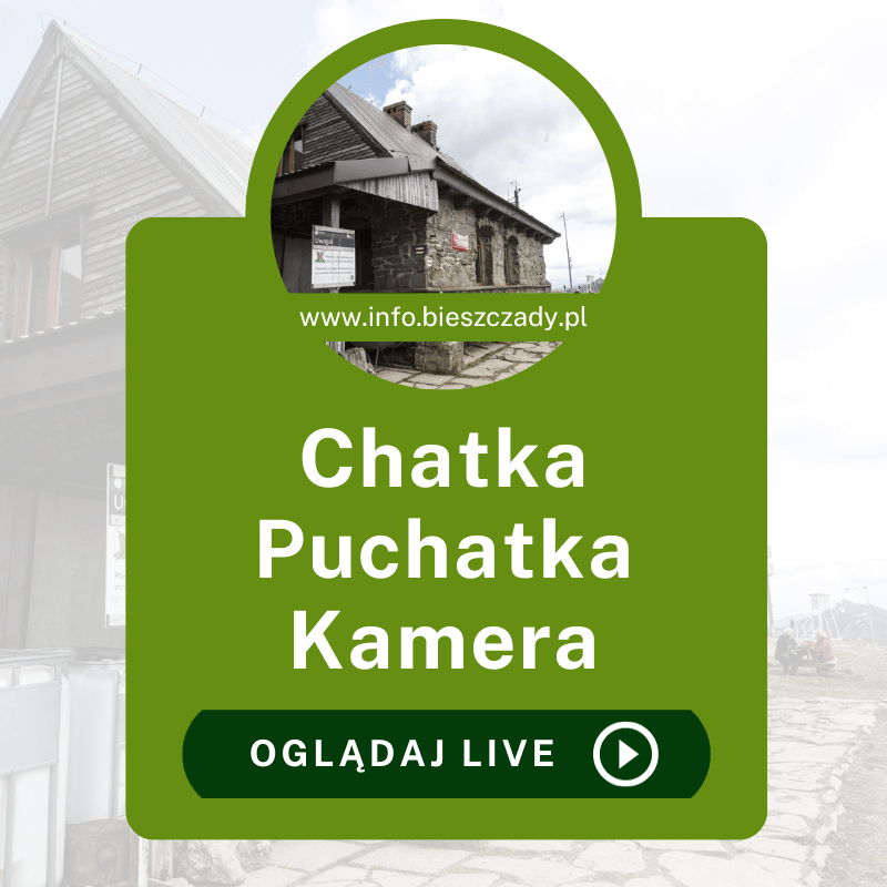 Kamera Chatka Puchatka