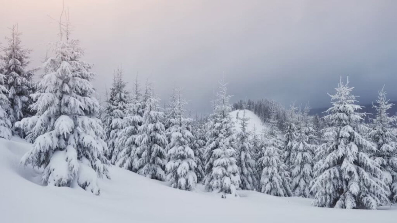 akcja-ratownicza-gopr-bieszczady akcja-ratownicza-gopr-bieszczady