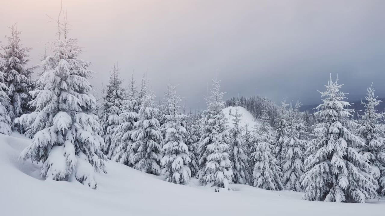 Zabrał trójkę dzieci w Bieszczady – akcja GOPR w Bieszczadach