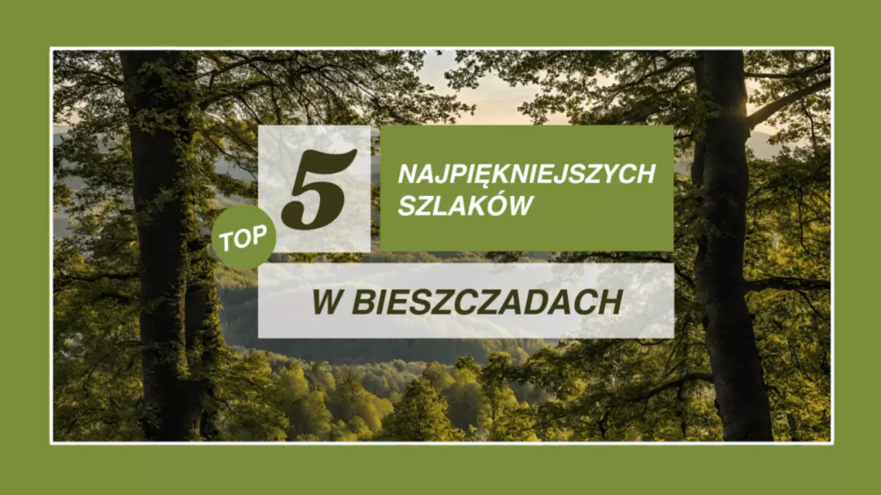 Top 5 najpiękniejszych szlaków w Bieszczadach