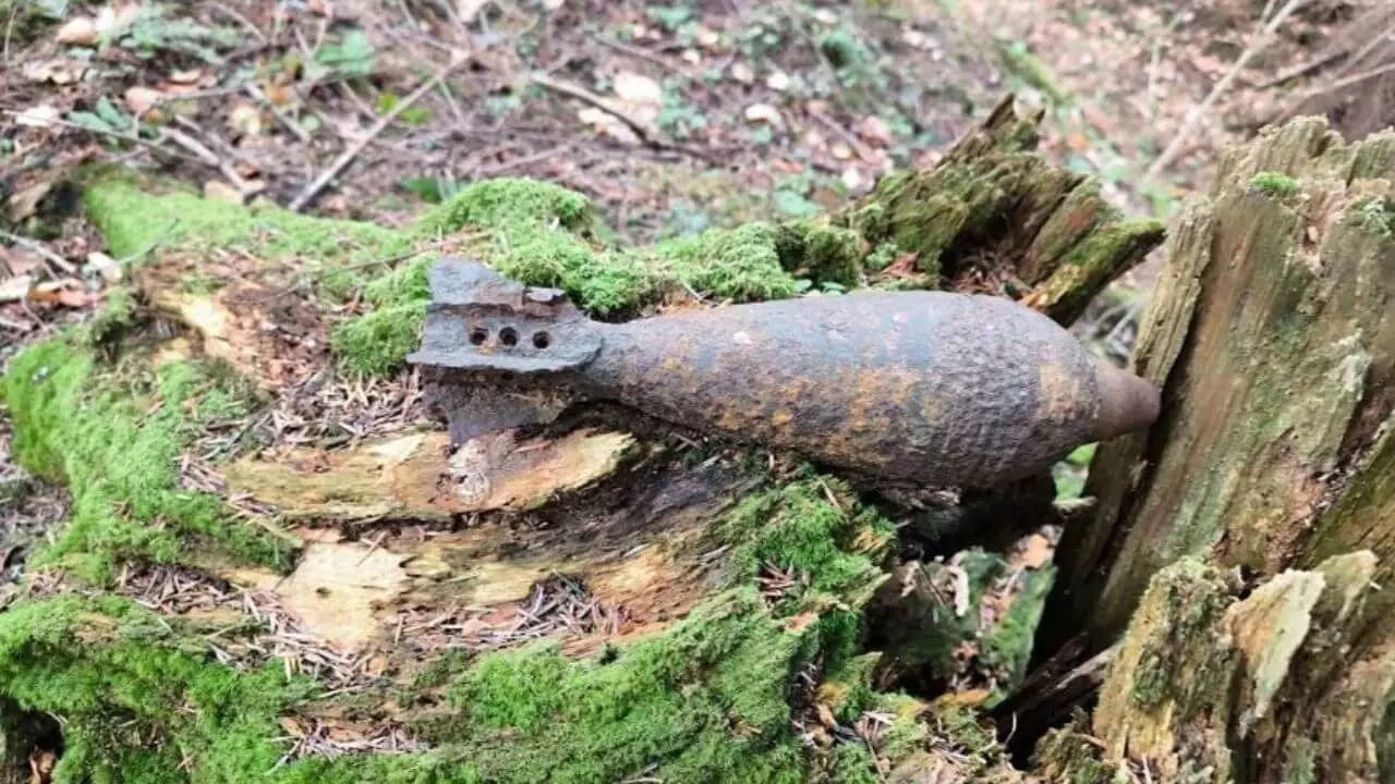 Bieszczady: turysta znalazł niewybuch z II Wojny Światowej w lesie koło Czarnej Górnej