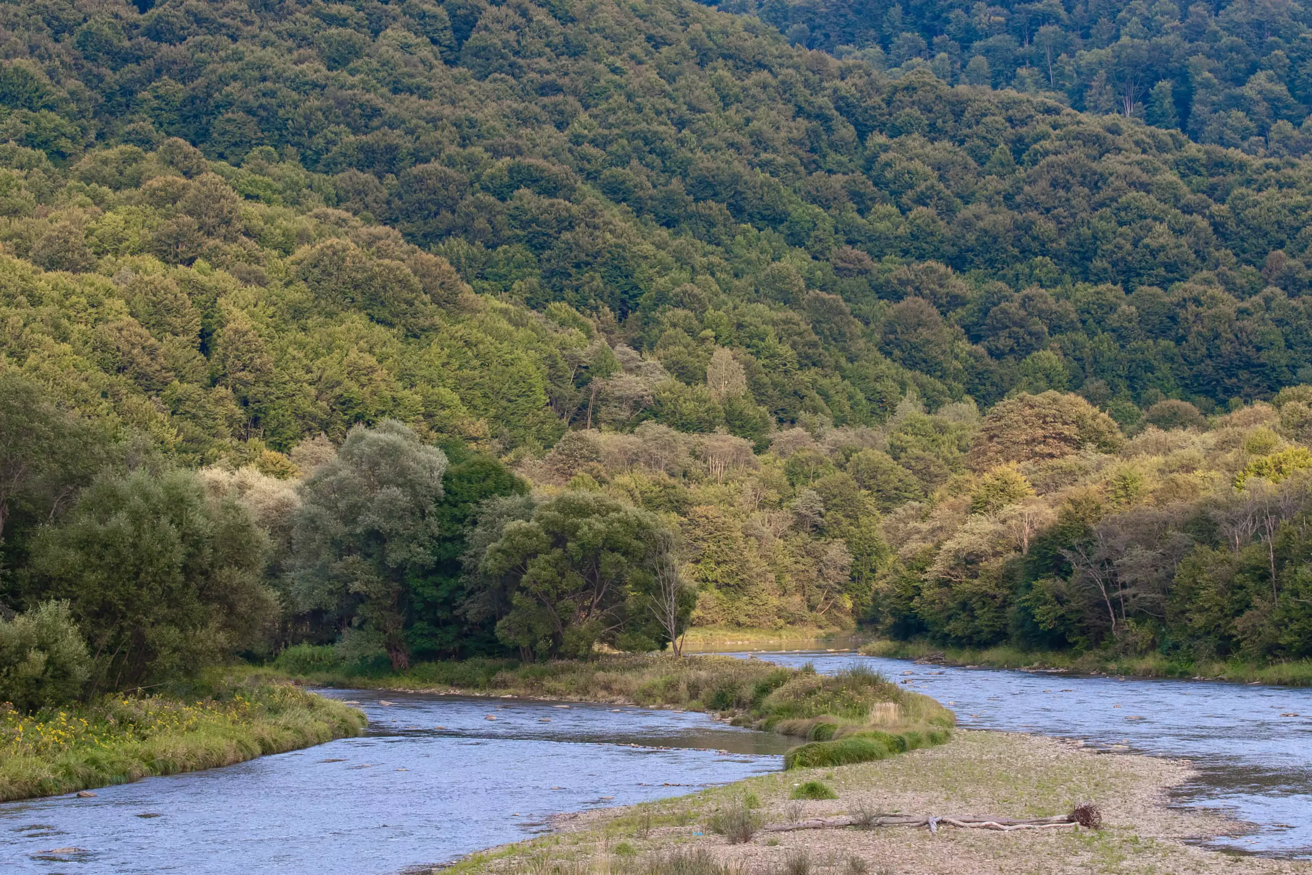 San Bieszczady