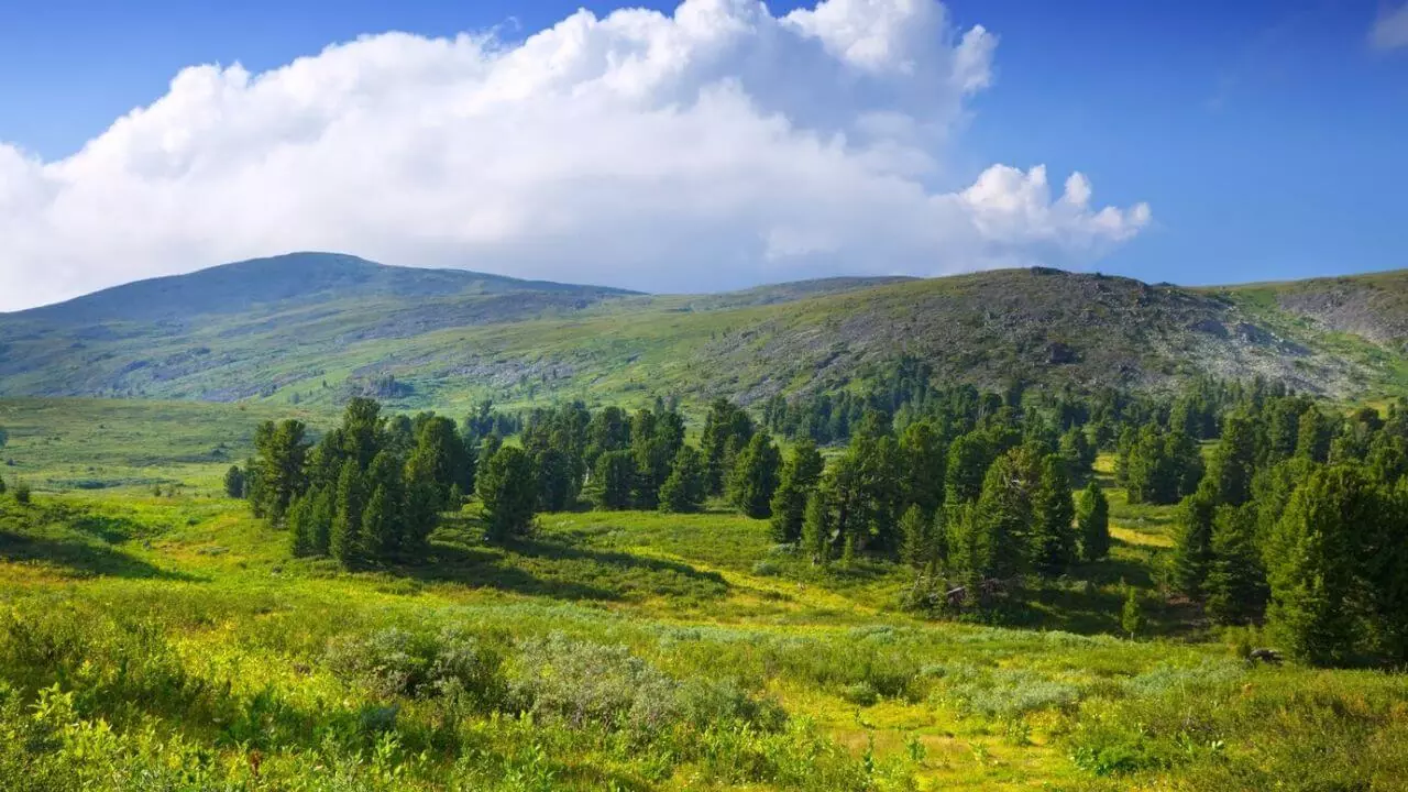 Bieszczady na majówkę – słońce czy deszcz?