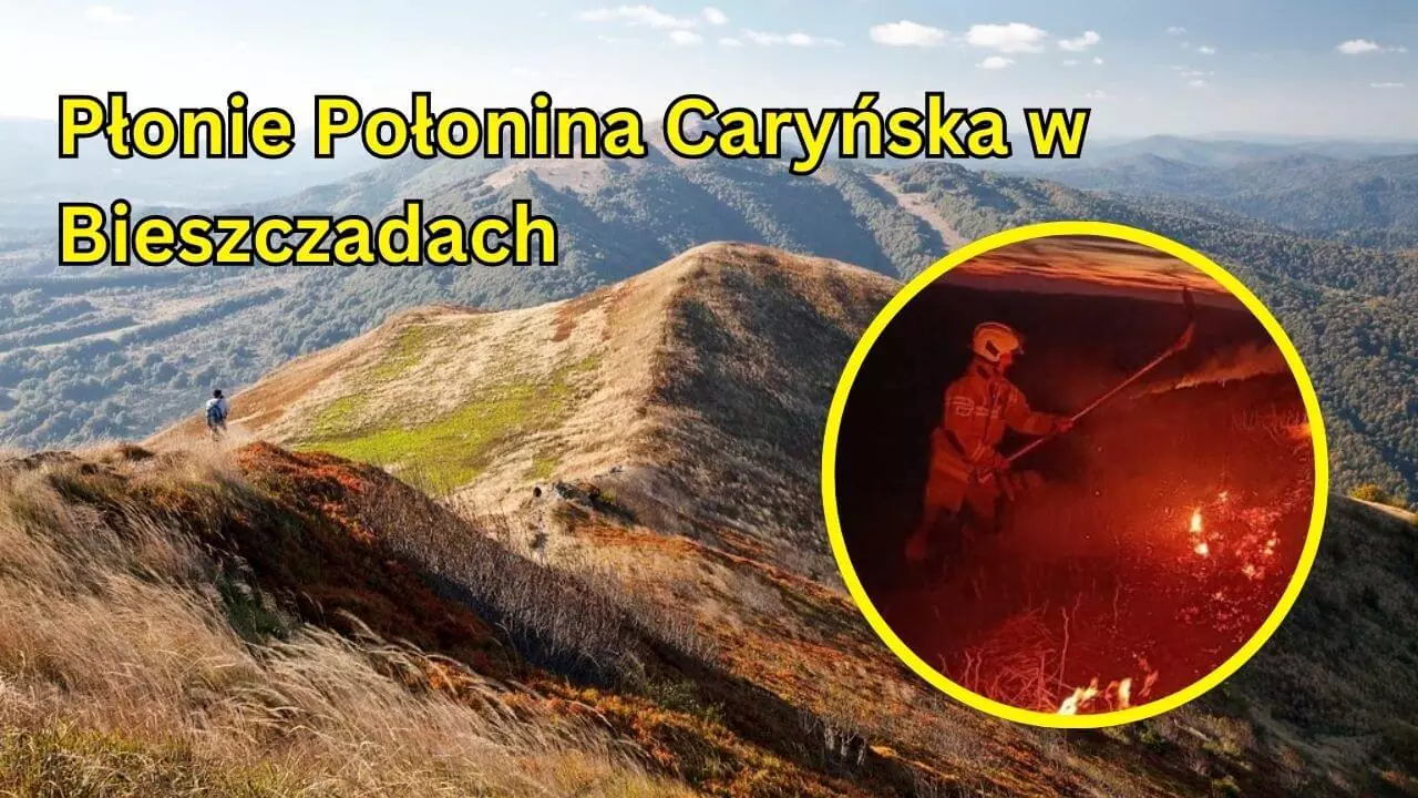 Pożar na szczycie Połoniny Caryńskiej