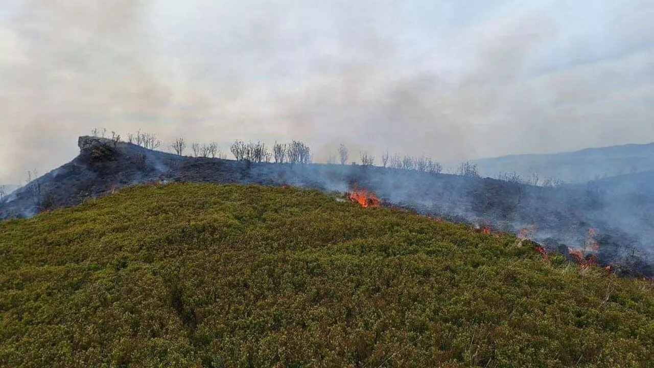 Kolejny pożar w Bieszczadach – płonęły połoniny