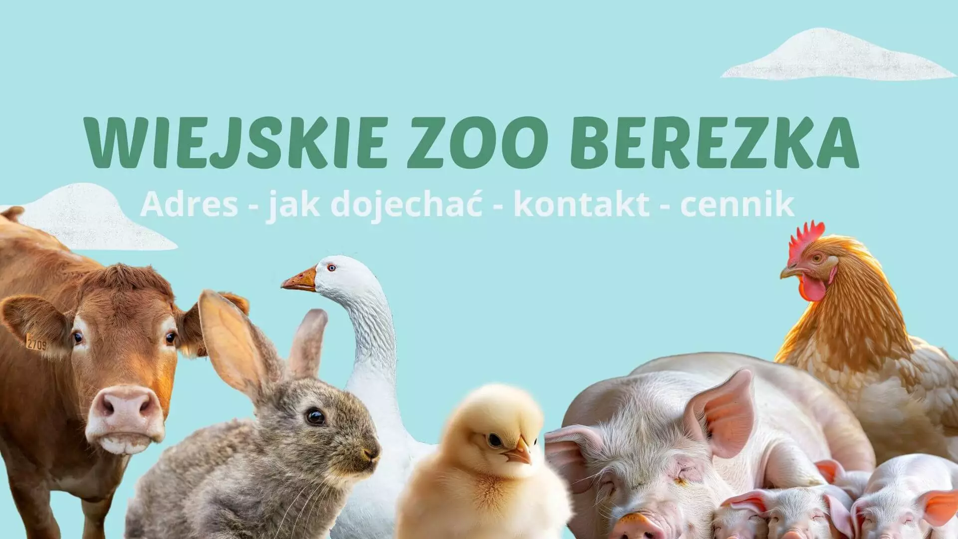 Wiejskie ZOO Bieszczady